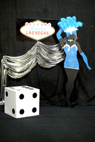Vegas Theme various venues (12)