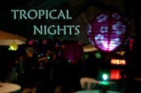 Tropical Nights Theme (1)